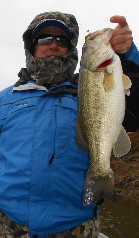 //content.osgnetworks.tv/infisherman/content/photos/Cold-bass.jpg