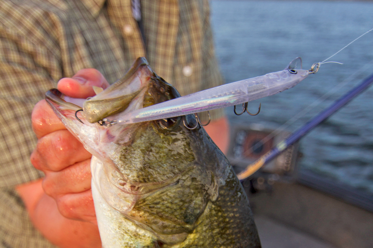 Colorless Crankbaits For Skeptical Bass