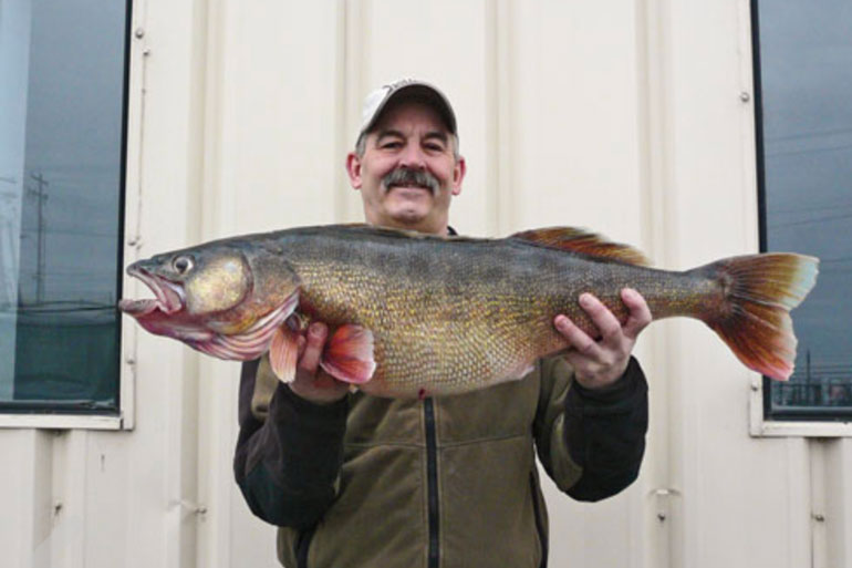 //content.osgnetworks.tv/infisherman/content/photos/Columbia-River-Walleyes.jpg