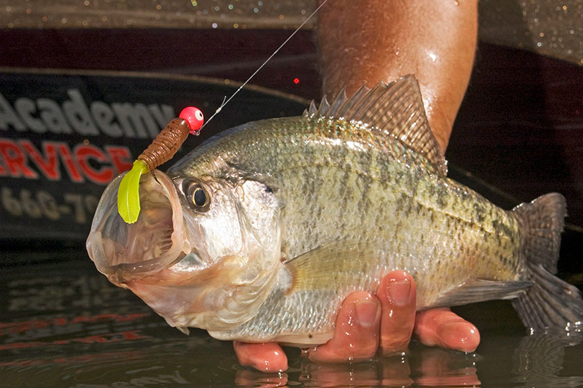 Micro-Jigging Early Season Panfish - In-Fisherman