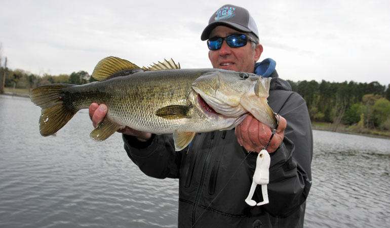 The Critter Connection to Largemouth Bass
