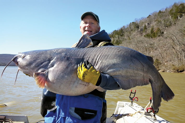 //content.osgnetworks.tv/infisherman/content/photos/Doug-Stange-Record-Blue-Catfish.jpg