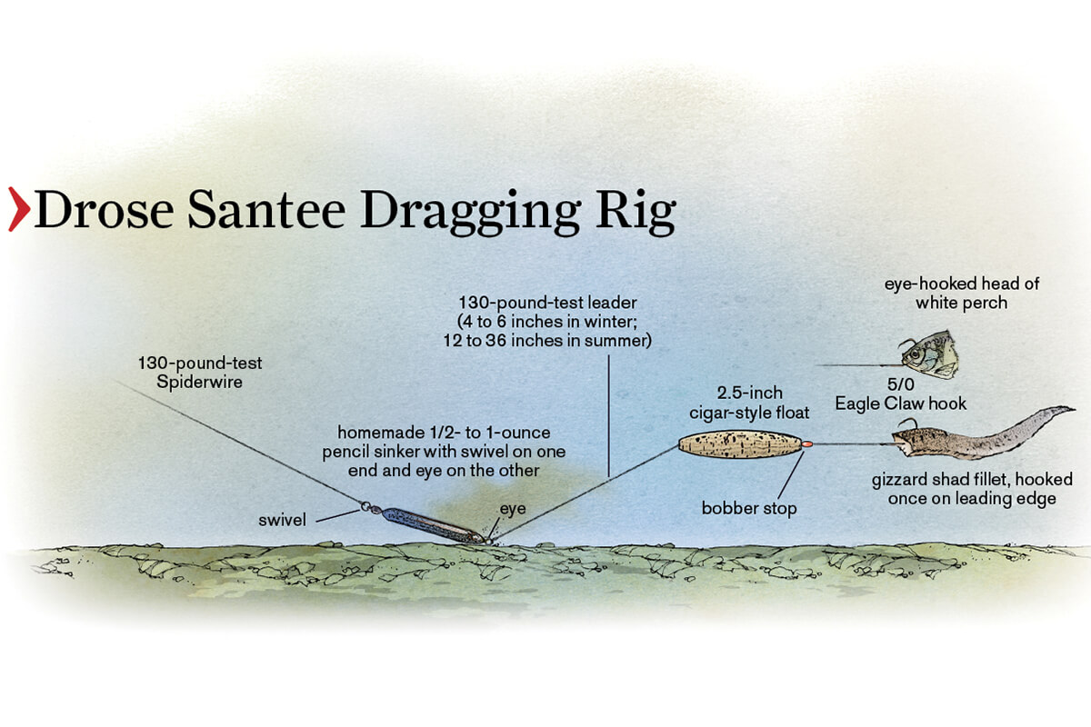 Illustration of dragging rig setup for catfishing