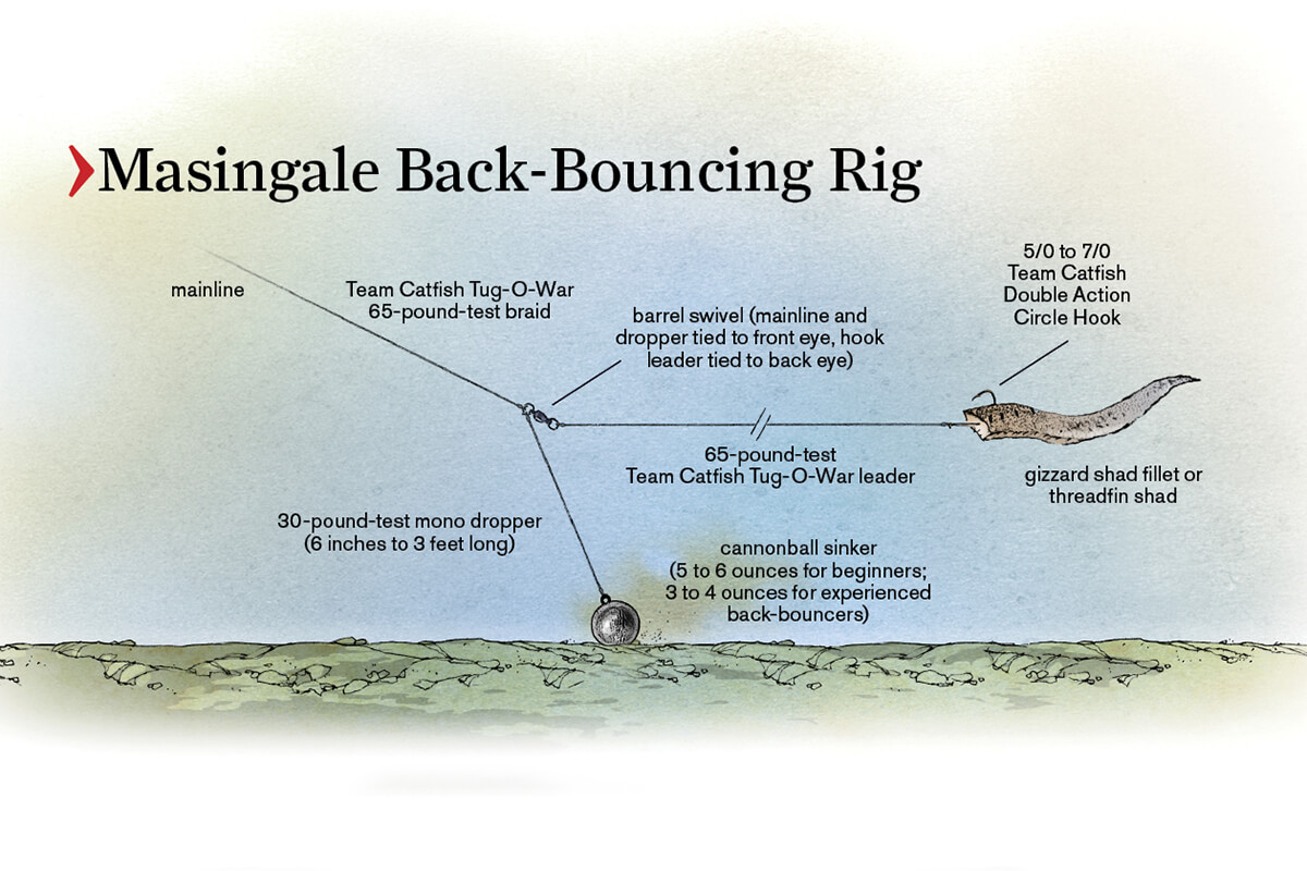 Bottom rig  Catfish, Catfish fishing, Catfish rigs