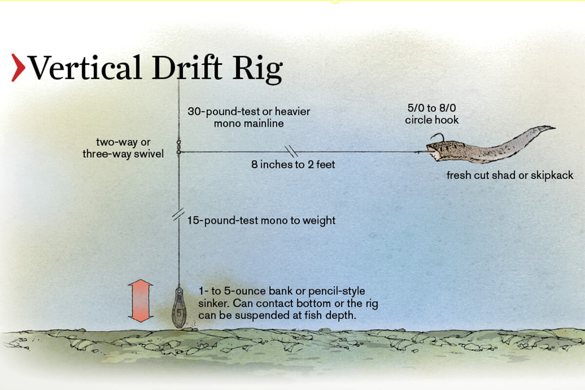 Illustration of dragging rig setup for catfishing