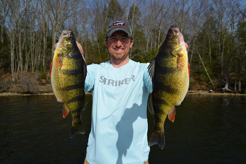 //content.osgnetworks.tv/infisherman/content/photos/Early-Perch-Double-Hold-Up-1.jpg