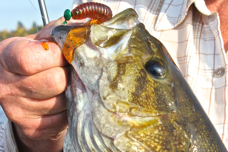 //content.osgnetworks.tv/infisherman/content/photos/Early-Season-Smallmouths.jpg