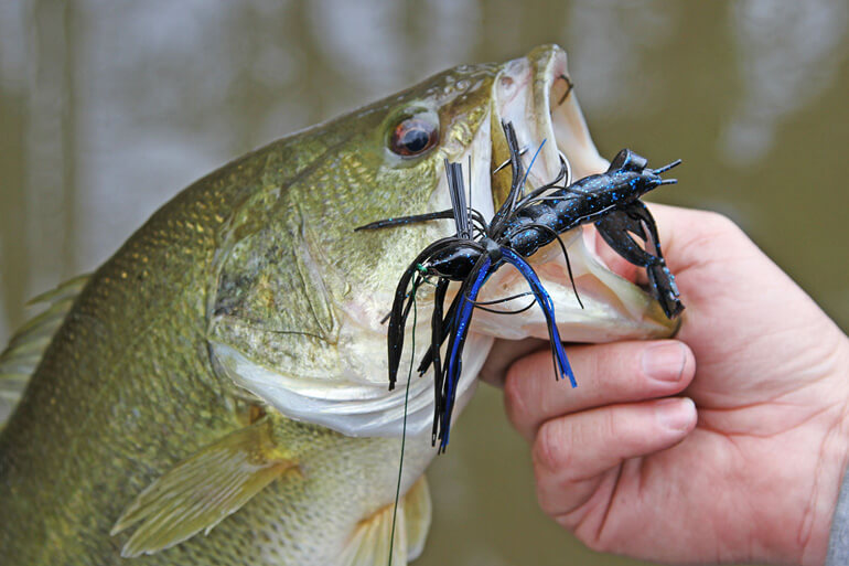 Time to tie on a shaky head jig for North Alabama bass 