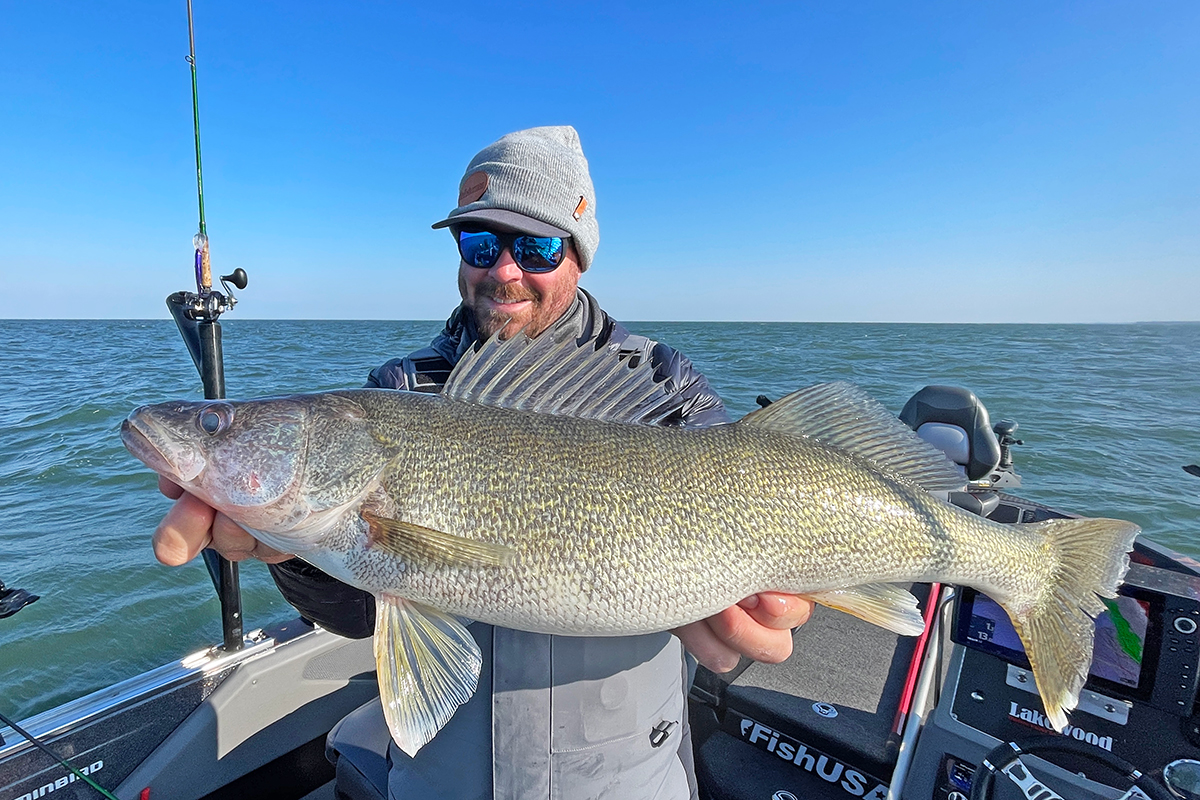 Great Lakes Fall Walleyes: Out Of The Mouths Of Bays
