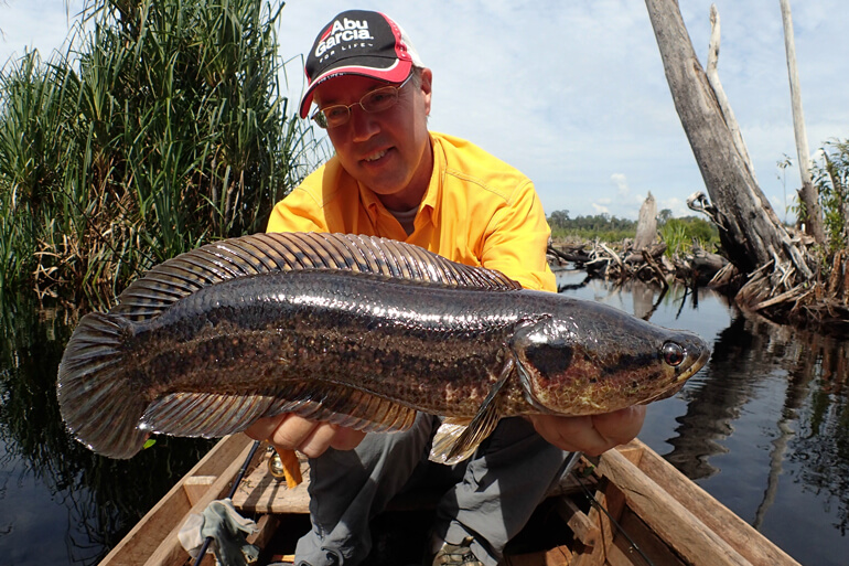 It turns out it's not frankenfish - Fly Life Magazine