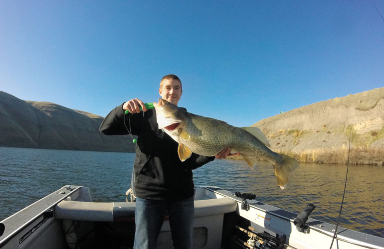 //content.osgnetworks.tv/infisherman/content/photos/Giant-Walleye-on-Rivers.jpg