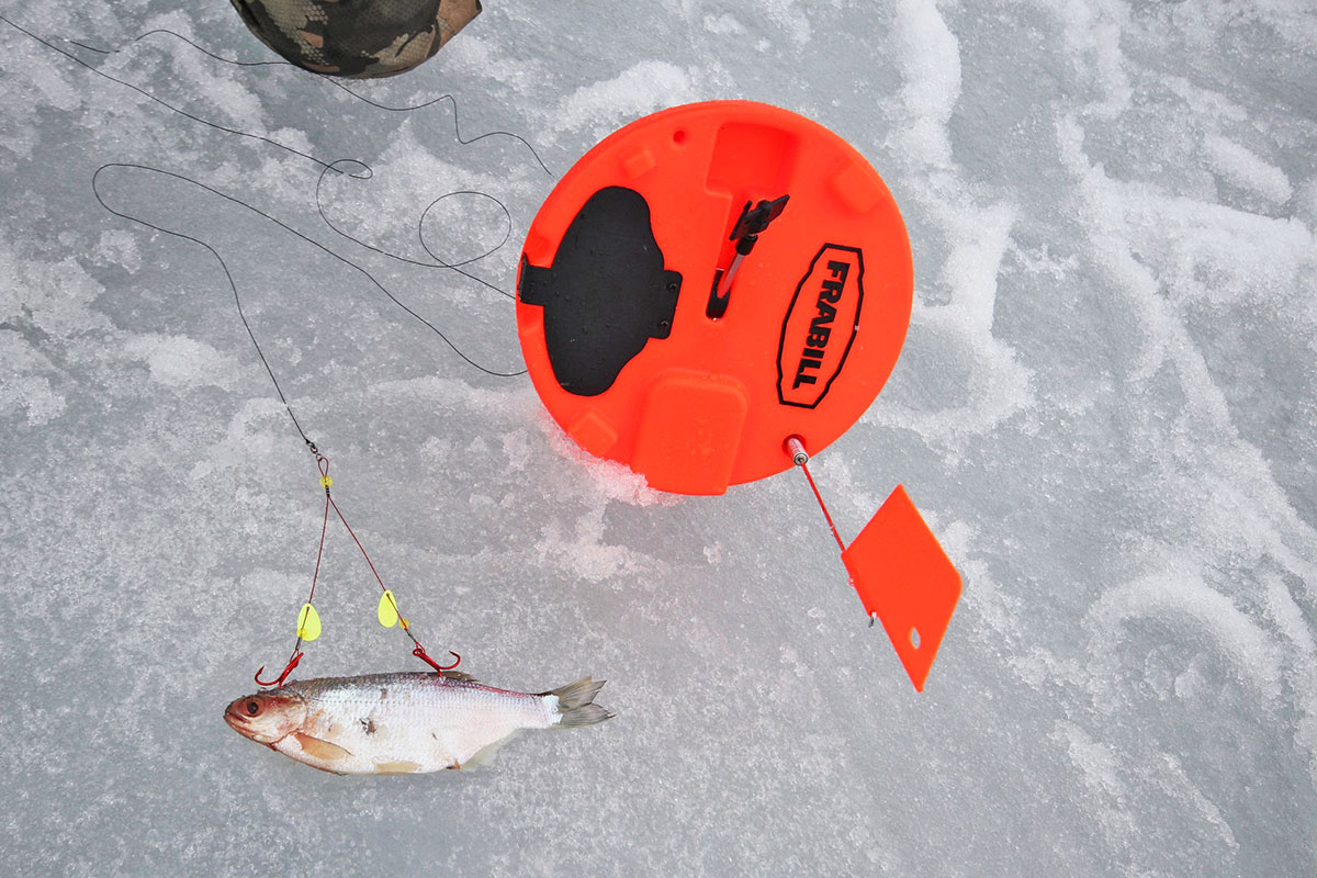 3 Species You Need to Target This Winter - In-Fisherman