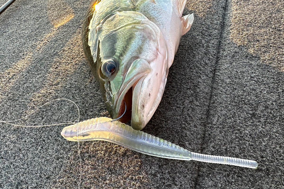 New Wave Bump Trolling with Corked Baits - Florida Sportsman