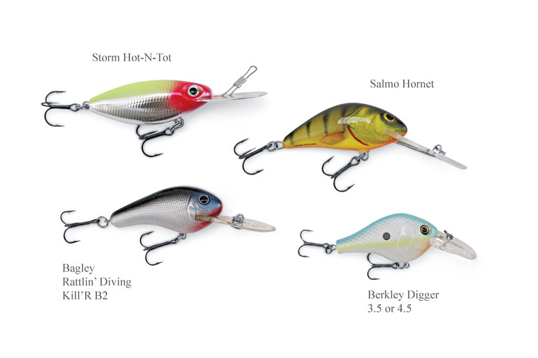 Crankbaits: The Fastest Lures for Walleyes - In-Fisherman