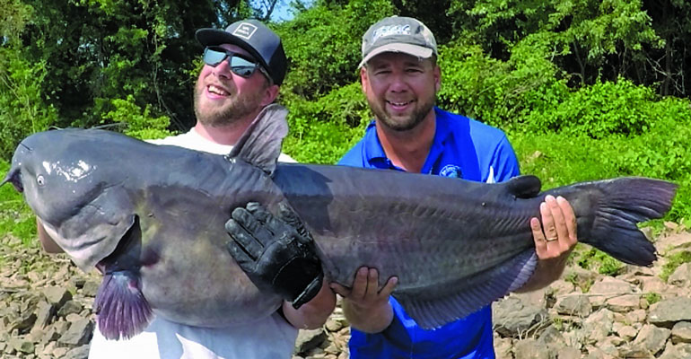 Prime Flathead Catfishing During Spring's High Water - Game & Fish