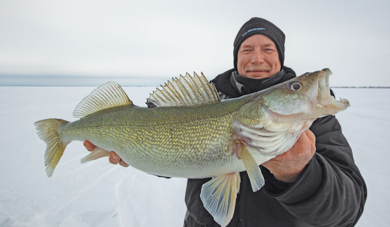 Ice Fishing and Walleye Survival