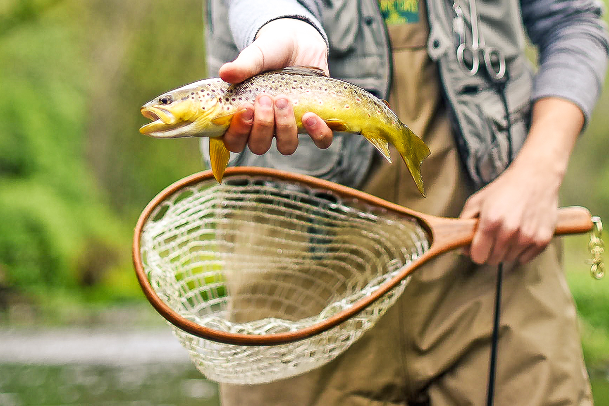 The Best Trout Fishing in the World - Fly Fisherman