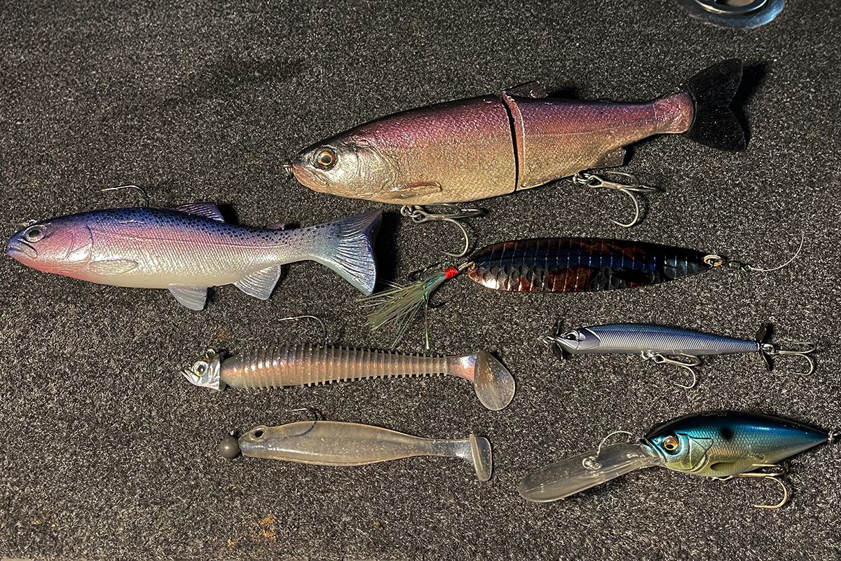 Best Baits and Lures for Kokanee Fishing – Outdoor Troop