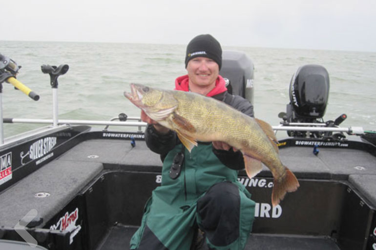 //content.osgnetworks.tv/infisherman/content/photos/Lake-Erie-Walleye.jpg