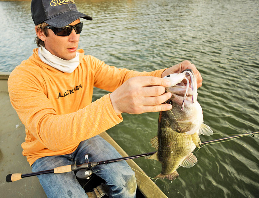 Late Summer Largemouth Bass - On The Water