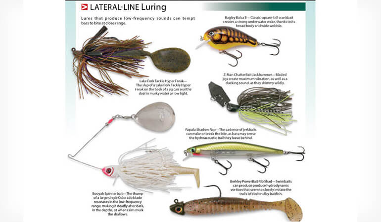 //content.osgnetworks.tv/infisherman/content/photos/Lateral-Line-Bass-Sense-Lures.jpg