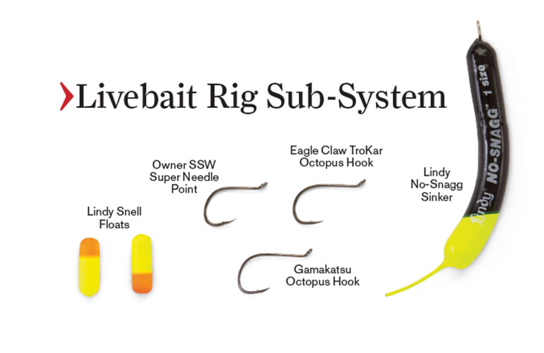 //content.osgnetworks.tv/infisherman/content/photos/Livebait-Rigging-System-for-Smallmouths.jpg