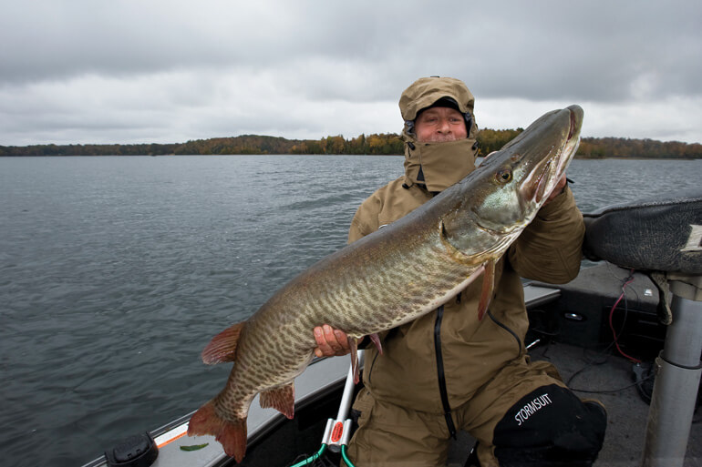 Livebait Rigging Systems for Muskies