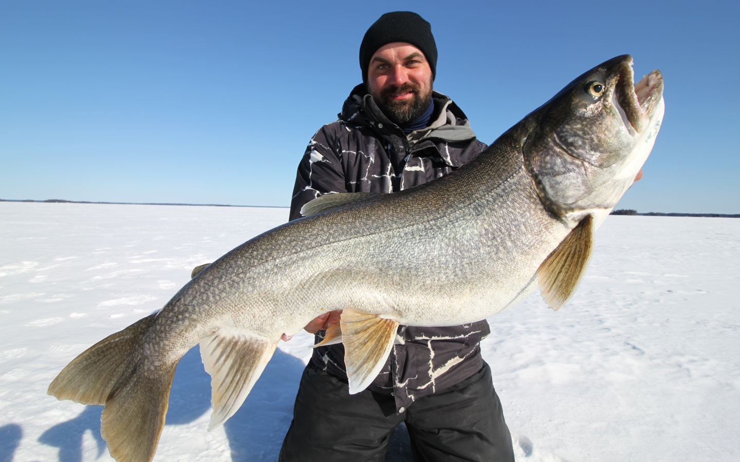 //content.osgnetworks.tv/infisherman/content/photos/Manitoba-Bodgen-Lake-Trout.jpg