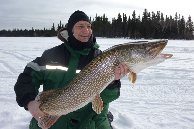 Northern pike with Caribou Lodge in Manitoba