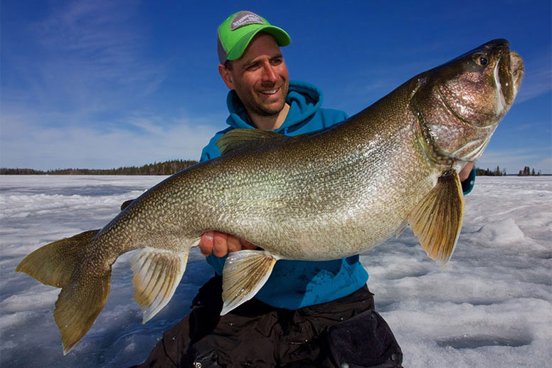 Lake trout at Wekusko Falls Lodge in Manitoba