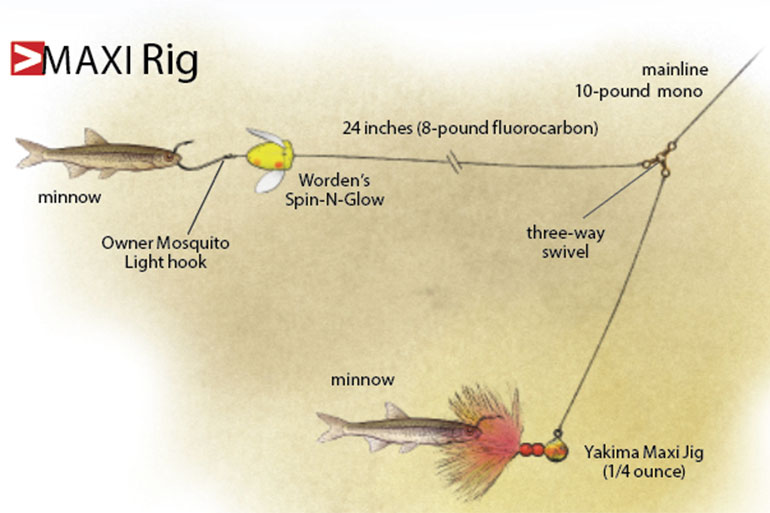 Infographic – Gear Setup Procedure for Walleye Fishing – Wildewood