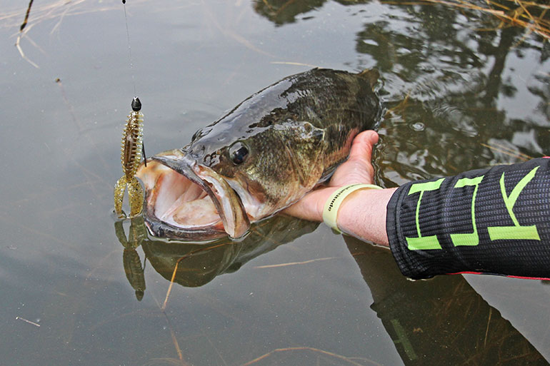 5 Ways To Maximize The Bass Spawn