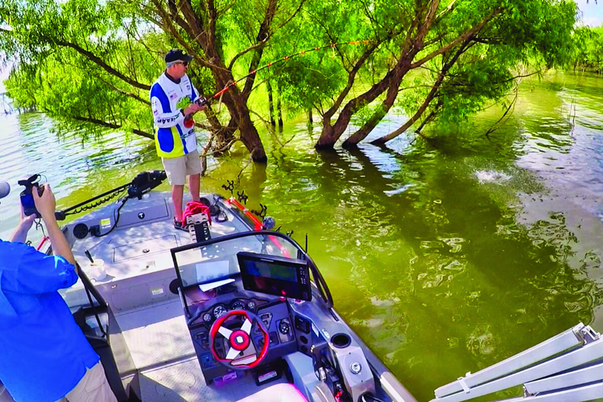 angler hooked up to a catfish in wooded water on a boat