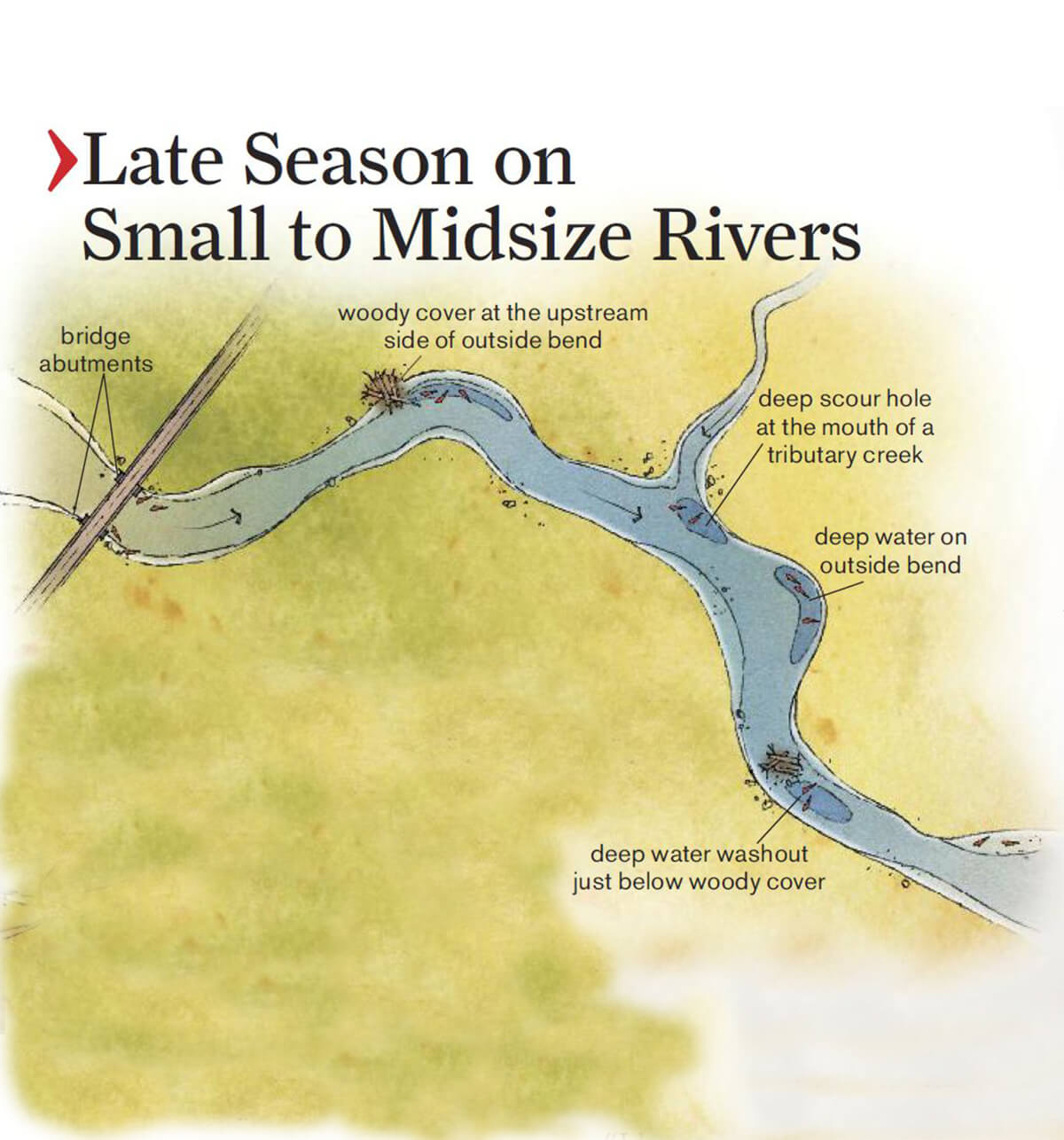 illustration of where to find catfish on small to medium rivers