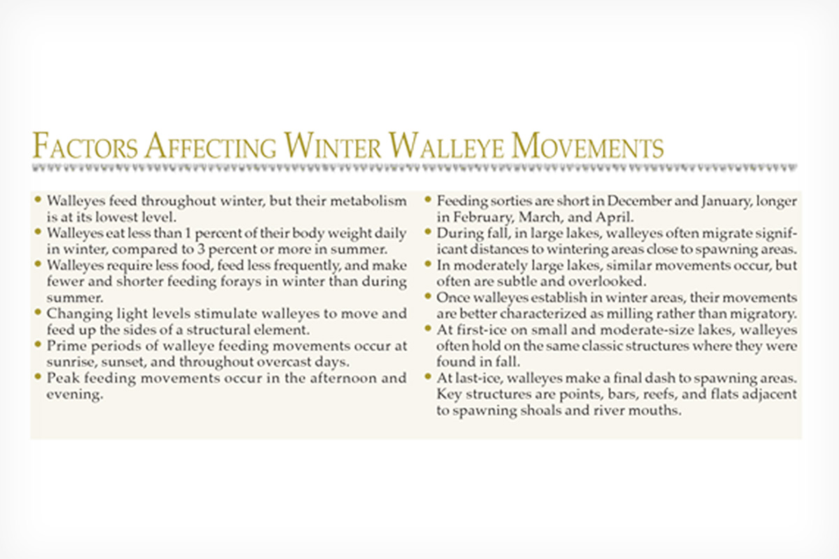 Walleye Ice Fishing Movement Factors