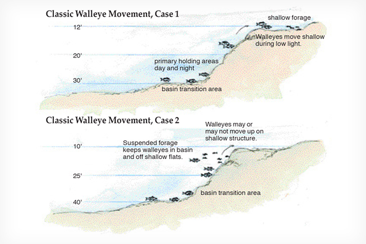 Walleye Movement Explained (Map Example) 