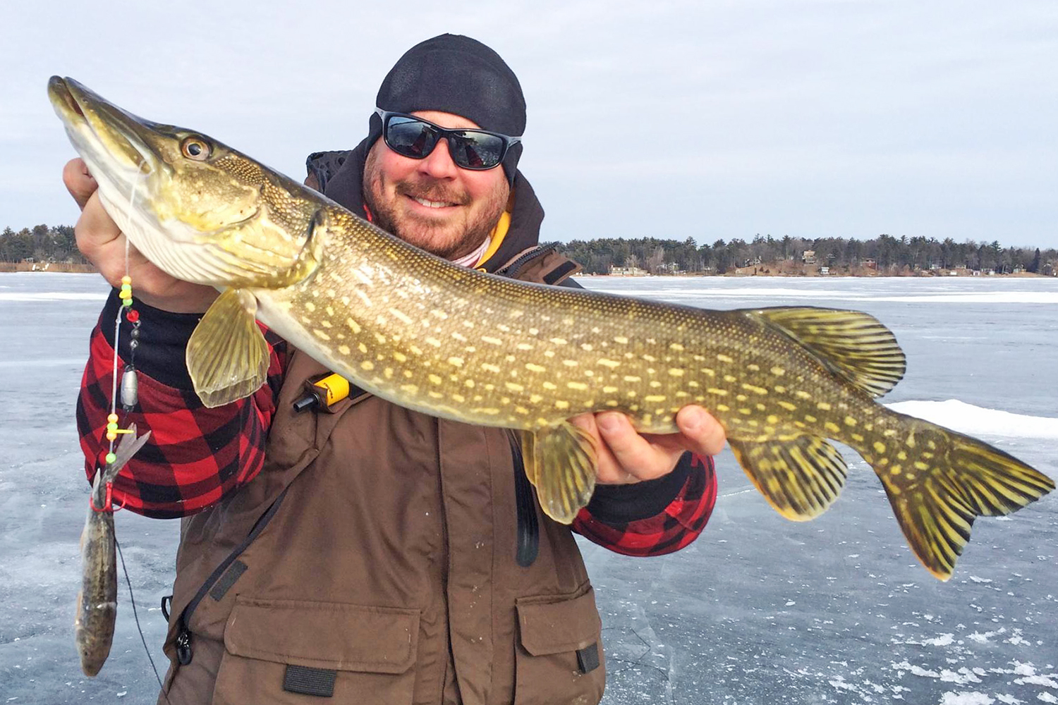 //content.osgnetworks.tv/infisherman/content/photos/PIke-Length-Winter-IMAGE.jpg