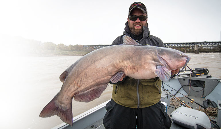 Tracking the Renowned Red River Catfish