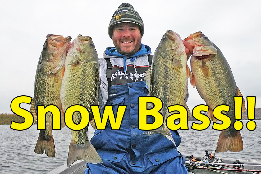 Big Bass in the Snow