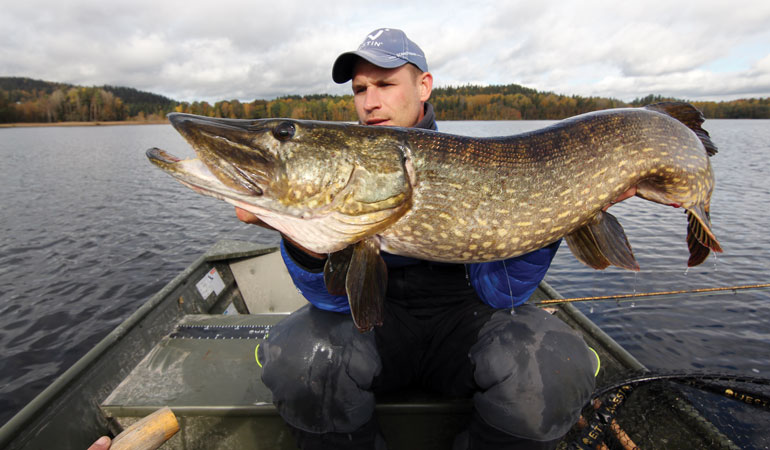 Speed and Depth Preferences of Pike