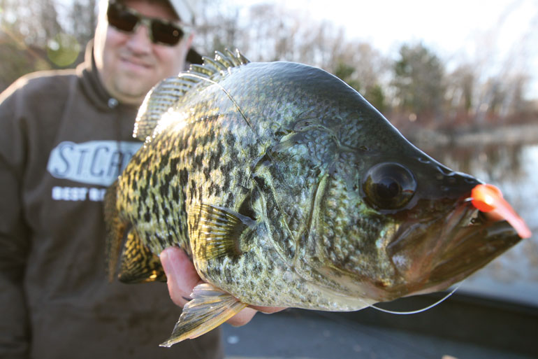 //content.osgnetworks.tv/infisherman/content/photos/Springtime-Crappies-on-Jigs.jpg