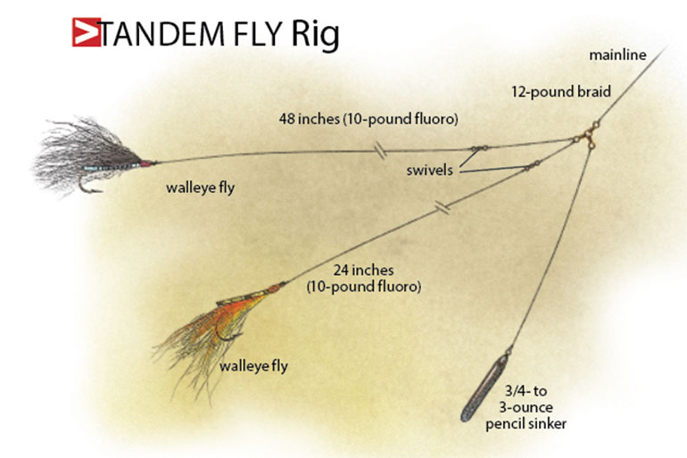 Understanding Flies for Walleyes 