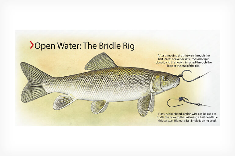 //content.osgnetworks.tv/infisherman/content/photos/The-Bridle-Rig-for-Muskies.jpg