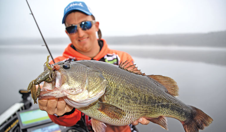 8 Best Swimbaits for Bass Fishing - Premier Angler