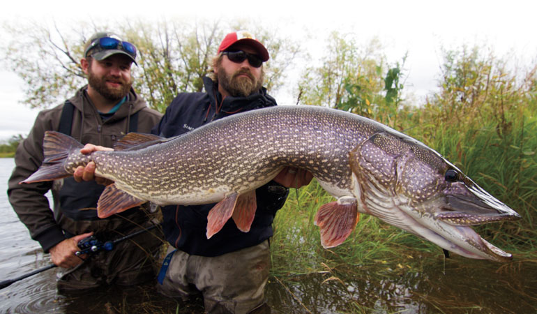 Hooking Trophy Pike at Lake of the Woods - MidWest Outdoors