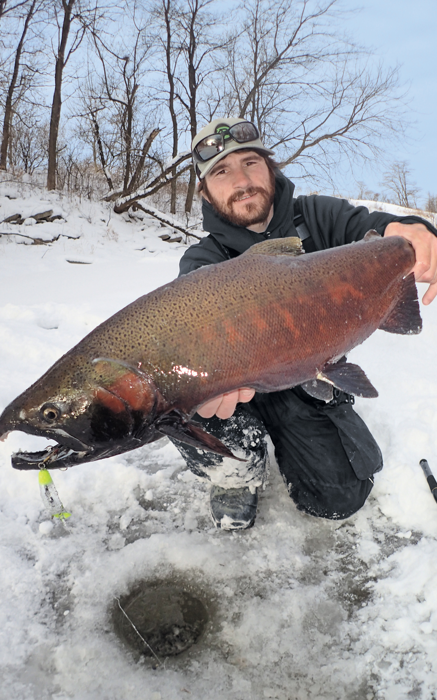 //content.osgnetworks.tv/infisherman/content/photos/Top-ice-predators-salmon.jpg