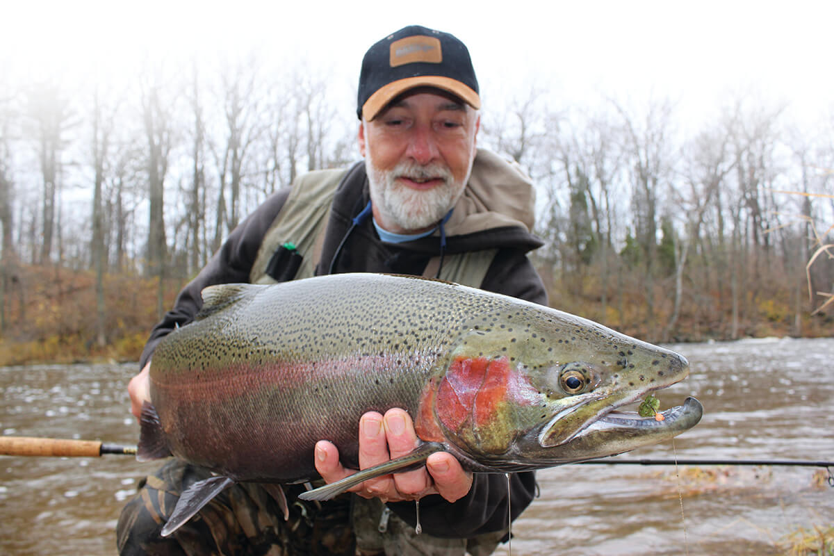 Up is Down for Steelhead