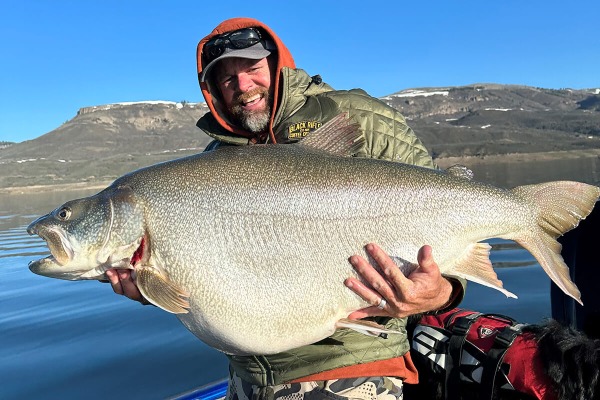 An angler holds an enormous lake trout with both arms.