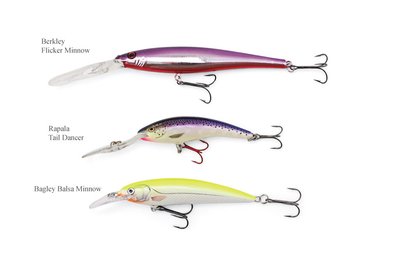 Rapala Jointed Minnow 5cm Diving Lures – Get Wet Outdoors