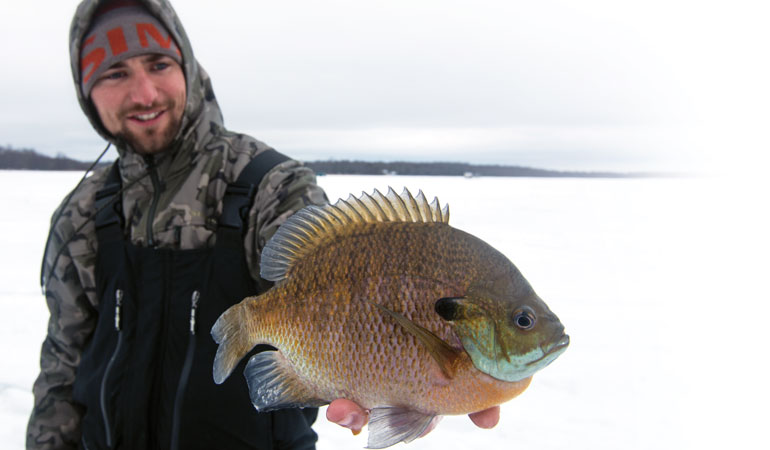 Winter Panfish: Tricks & Practical Tips